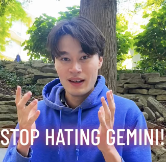 Stop Hating Gemini!